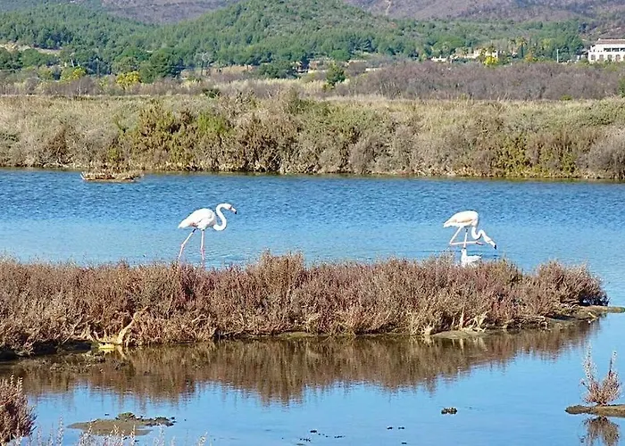 Chateaubriand Sur Proche Du Centre *